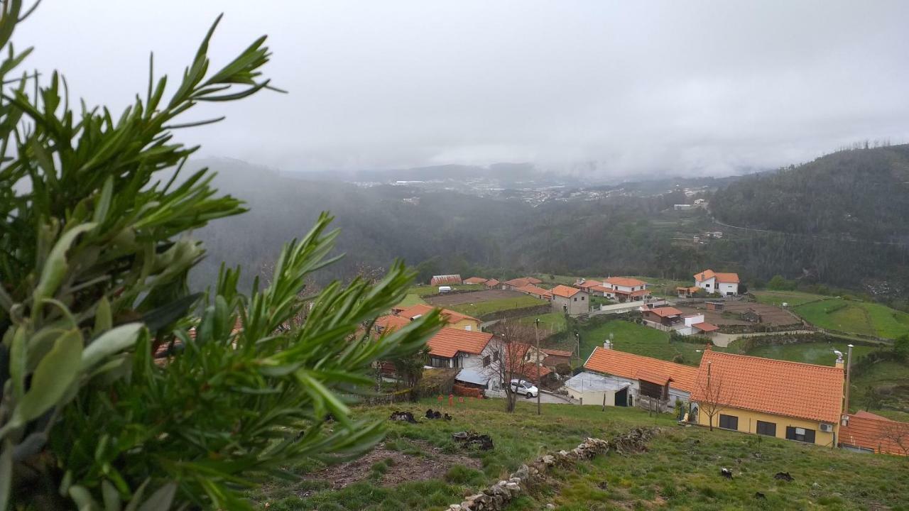Casa Da Boa Vista Em Viadal Βίλα Vale de Cambra Εξωτερικό φωτογραφία