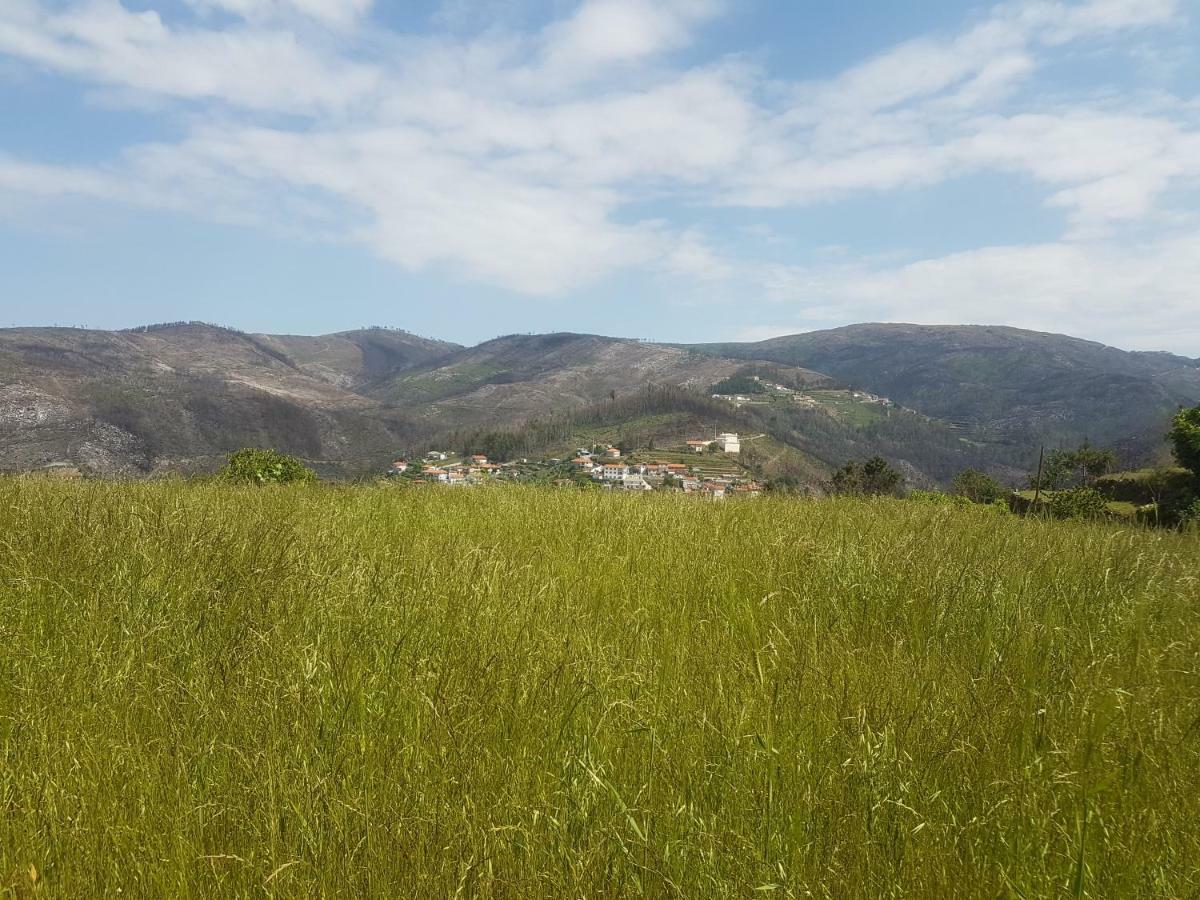 Casa Da Boa Vista Em Viadal Βίλα Vale de Cambra Εξωτερικό φωτογραφία